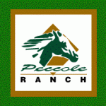 Pecolle Ranch Investment Properties