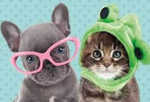 Rental Application Pet Screening 4 Add or remove a pet from the lease