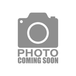 About Us | Rice Real Estate, LLC Est. 2010 16 Gina Session