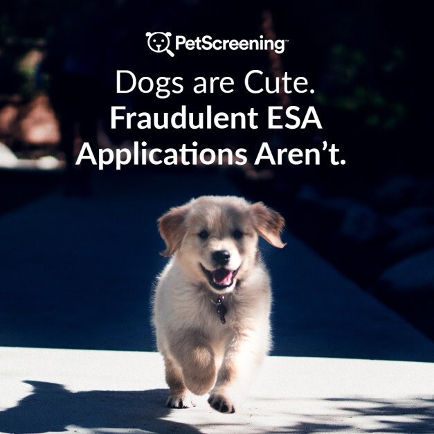 Rental Application Pet Screening 6 Dogs are Cute Fradulent ESA animals arent